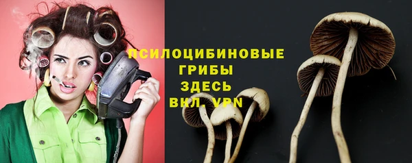 таблы Краснослободск