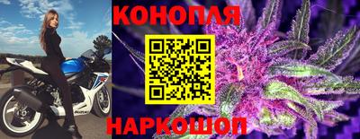 гидропоника Кимры
