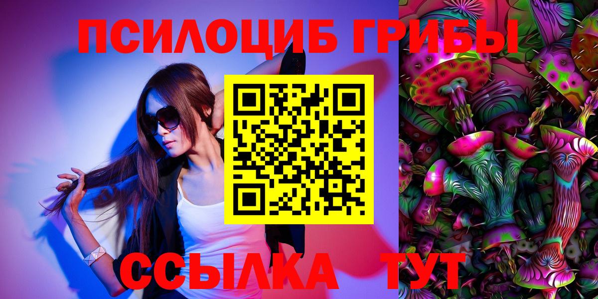Псилоцибиновые грибы Psilocybine cubensis Ялуторовск